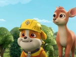 Ruben & CIE