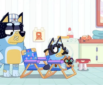 Bluey - 31/07/2026
