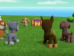 Paw Patrol, la Pat'Patrouille