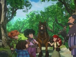 Robin des Bois : Malice à Sherwood