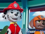 Paw Patrol, la Pat'Patrouille