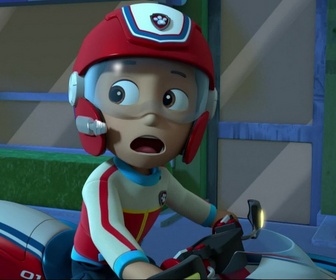 Paw Patrol, la Pat'Patrouille - Le fantôme