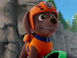 Paw Patrol, la Pat'Patrouille