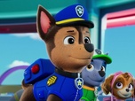 Paw Patrol, la Pat'Patrouille