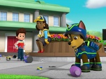 Paw Patrol, la Pat'Patrouille
