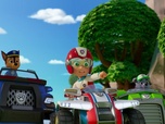 Paw Patrol, la Pat'Patrouille