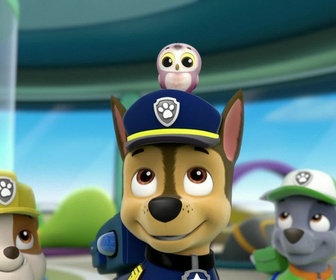 Paw Patrol, la Pat'Patrouille - Le sauvetage du hibou