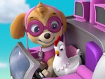 Paw Patrol, la Pat'Patrouille Paw Patrol, la Pat'Patrouille