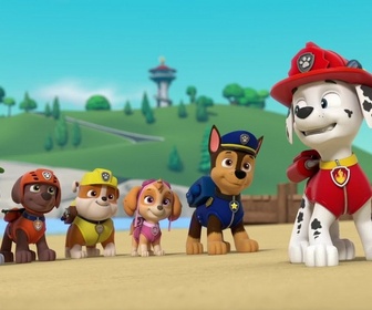 S00 E49 - Compilation Paw Patrol, la Pat'Patrouille 49