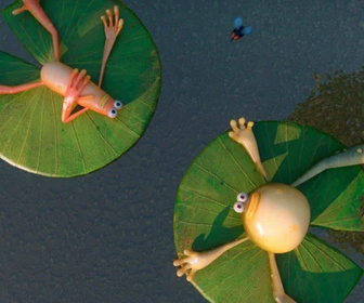 Les as de la jungle à la rescousse - 10/01/2026