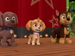 Paw Patrol, la Pat'Patrouille