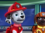 Paw Patrol, la Pat'Patrouille