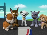 Paw Patrol, la Pat'Patrouille