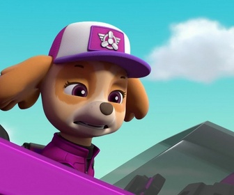 Paw Patrol, la Pat'Patrouille - Mission camion : Panique sur l'autoroute