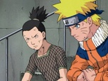 Naruto Naruto