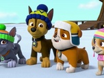Paw Patrol, la Pat'Patrouille