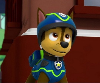 Paw Patrol, la Pat'Patrouille - Trois pingouins dans la ville