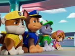 Paw Patrol, la Pat'Patrouille