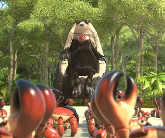 Les as de la jungle à la rescousse - 28/12/2025