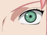 Naruto Shippuden