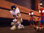 Spidey et ses amis extraordinaires Spidey et ses amis extraordinaires