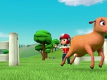 Paw Patrol, la Pat'Patrouille