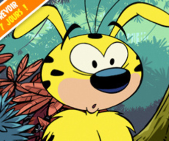 Le Marsupilami