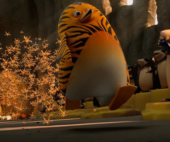 Les as de la jungle à la rescousse - 07/01/2026