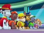 Paw Patrol, la Pat'Patrouille