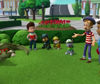 Paw Patrol, la Pat'Patrouille - L'oeuf de Galinetta