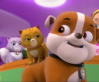 Paw Patrol, la Pat'Patrouille - Chat-tastrophe !