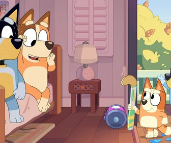 Bluey - 31/05/2026