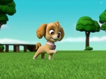 Paw Patrol, la Pat'Patrouille
