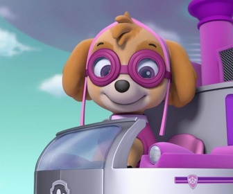 Paw Patrol, la Pat'Patrouille - Skier comme un pro