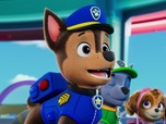 Paw Patrol, la Pat'Patrouille