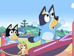 Bluey Bluey