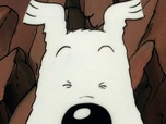 Les aventures de tintin