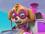 Paw Patrol, la Pat'Patrouille