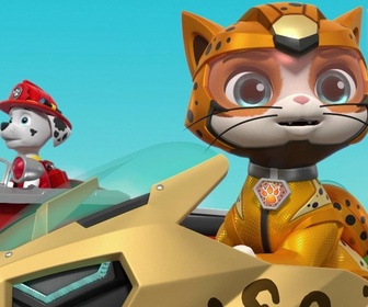 Paw Patrol, la Pat'Patrouille - La Pat' Patrouille rencontre les Super Chats