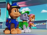 Paw Patrol, la Pat'Patrouille