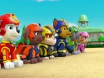 Paw Patrol, la Pat'Patrouille Paw Patrol, la Pat'Patrouille