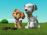 Paw Patrol, la Pat'Patrouille