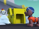 Paw Patrol, la Pat'Patrouille