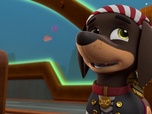 Paw Patrol, la Pat'Patrouille