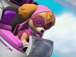 Paw Patrol, la Pat'Patrouille