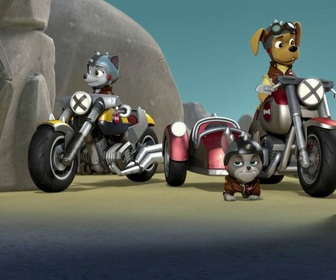 Paw Patrol, la Pat'Patrouille - La Moto Patrouille : Le sauvetage des chatons