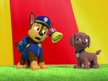 Paw Patrol, la Pat'Patrouille