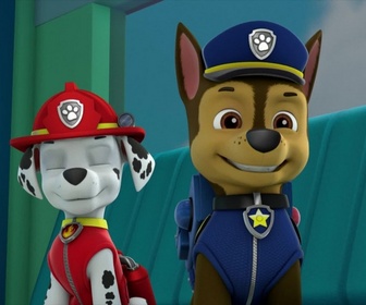 Paw Patrol, la Pat'Patrouille - La course de caisses à savon
