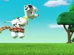 Paw Patrol, la Pat'Patrouille
