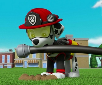 Paw Patrol, la Pat'Patrouille - Sauvetage Extrême : La cérémonie d'ouverture
